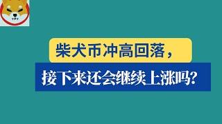 shib币 | 柴犬币 | 屎币1月16日最新行情分析！柴犬币冲高回落，接下来还会继续上涨吗？