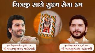 ચિત્રજી સેવા || Shri Aashraykumarji Mahodayshri and Shri Sharnamkumarji Mahodayshri