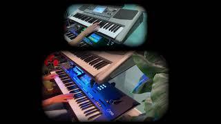 Darkside - Alan Walker - Cover on Yamaha Genos