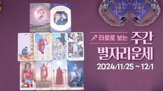 타로 |  24년 11월 넷째주 별자리 운세 (11/25~12/1)