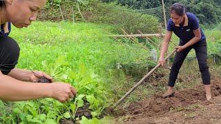 A Single Girl's Vegetable Garden: Love From the Earth