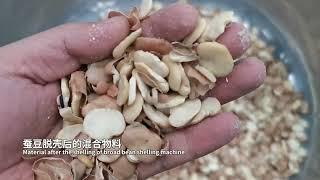 broad bean peeling machine