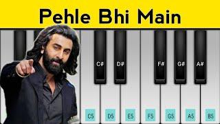 Pehle Bhi Main Piano Tutorial | Animal | Ranbir Kapoor