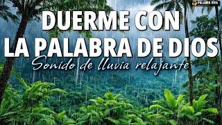 Versículos Bíblicos para Dormir | Biblia Hablada | Lluvia | 12 HRS