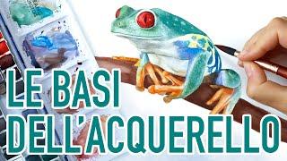 LE BASI DELL'ACQUERELLO  Come imparare a dipingere con i colori acquarelli | Disegnare una rana 