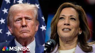 Trump struggling to keep up as Harris backers self-organize to help campaign