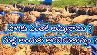 పొగకు ఎంతకీ అమ్మినము ? how much price pogaku tobacco farming telugu campany pogaku