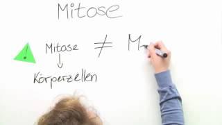 GRUNDLAGEN DER MITOSE | Biologie | Genetik und Entwicklungsbiologie