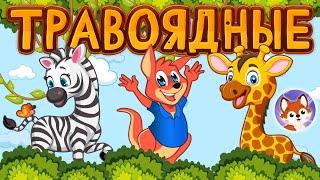 Дикие травоядные животные.  Видео с викториной для детей. ️ Учим имена зверей.