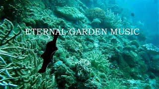 Eternal Garden | Dan Henig | Free Non Copy Right Music