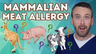 Can You be Allergic to Meat??