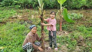A Busy Day For Aunt Lien; Planting Banana And Papaya Trees With My Niece.