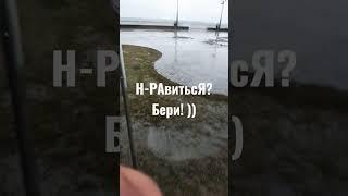 Н-РАвитьсЯ?  БЕРИ! ))