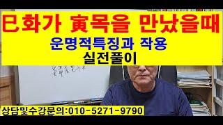 巳화가寅목을 만났을때 운명적특징과작용 실전풀이