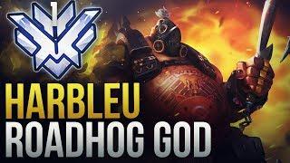 Best of Harbleu - RANK 1 ROADHOG GOD - Overwatch Montage