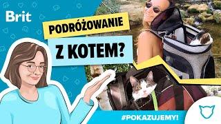 POKAZUJEMY: Podróżowanie z… kotem? Tak! - Brit Polska