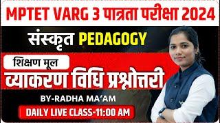 MPTET VARG 3 पात्रता परीक्षा 2024 | SANSKRAT VARG 3 CLASSES | MPTET VARG 3 SANSKRAT CLASS