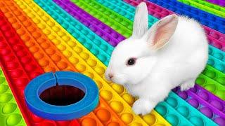 Bunnies Escape the Rainbow Pop it Maze