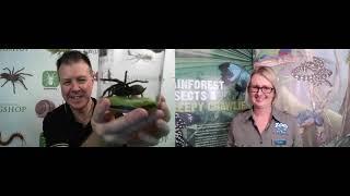 Spiders with Alan Henderson from Mini Beast Wildlife