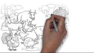 How To Raise Livestock For Profits