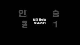 인기 급상승 동영상 #1                                                        #shorts