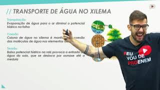 Água, sais minerais e vitaminas I Biologia I Prof. Bruno Pires