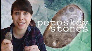 Why Michigan Is Full of Extinct Coral Fossils | Petoskey Stones