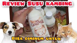 Eksperimen Kucing Minum Susu Kambing, Mau Ga Ya??