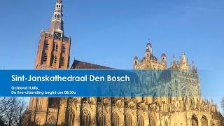 Sint-Janskathedraal Den Bosch 2 september 2024,  ochtend H. Mis 8.30u