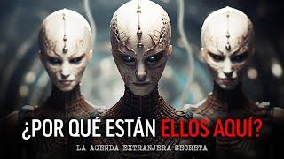 ¿POR QUÉ ESTÁN ELLOS AQUÍ? La agenda extraterrestre secreta: ¡lo que NECESITAS saber!  Paul Wallis