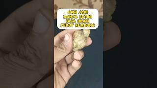 tips obati perut kembung #tips #trik #obat #herbal #rimpang #jahe