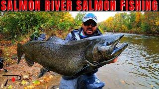 Salmon Fishing New York's World Famous Salmon River