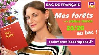 Mes forêts, Hélène Dorion : Analyse du recueil pour le bac de français 