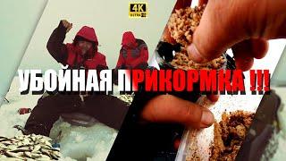 Зимняя прикормка!!!От этой ПРИКОРМКИ рыба КЛЮЁТ как с ПУЛЕМЁТА!!!Как приготовить зимнюю прикормку!!!