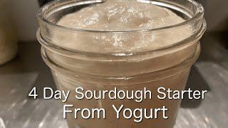４日で完成！自家製ヨーグルト酵母元種の作り方/ 簡単で強い発酵力/ Step By Step How To Make Strong Sourdough Starter From Yogurt