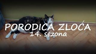 Porodica Zloća - Epizoda 613 (Season 14)