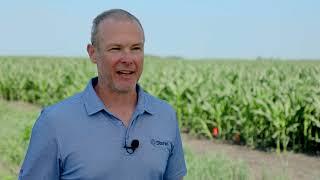 Improve Plant Health with a Fungicide Application