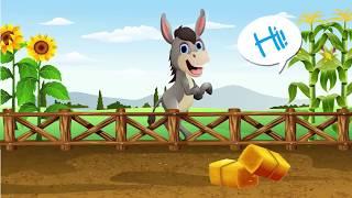 All about Donkey - The hard working animal I Preschool learning