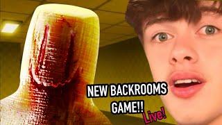 PLAYING THE SCARIEST BACKROOMS GAME EVER! (AND MORE!)