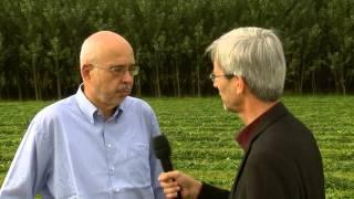 BIOENERGY 2020+ GmbH Location Wieselburg ENG