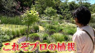 【浜名湖ガーデンパーク】プロが作る庭に圧巻！！【カーメン君】【園芸】【ガーデニング】