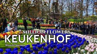 Keukenhof  7 Millionen Blumen  Garten Europas