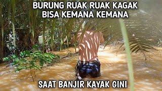 nembak ruak ruak saat banjir