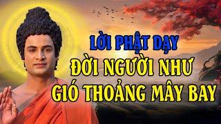 Lời Vàng Phật Dạy giúp bạn sống trọn vẹn từng phút giây