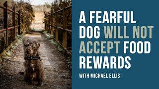 Michael Ellis on Fearful Dogs & NOT Accepting Food Rewards