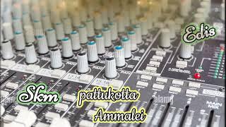 Pattukotta ammalei song skm Edits,