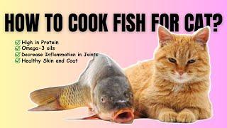 HOW TO COOK FISH FOR CATS | Homemade Cat Food Recipes | Fish Recipes For Cat