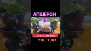 Рецепт на каналі Оксана Калюжная #retsept #food