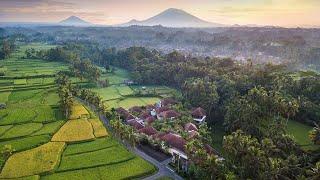 Dedary Resort Ubud by iNi Vie Hospitality - Property Profile