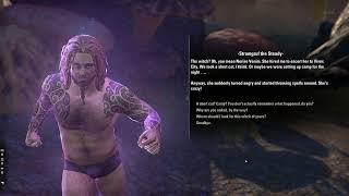 Elder Scrolls Online - If the Spell Fits